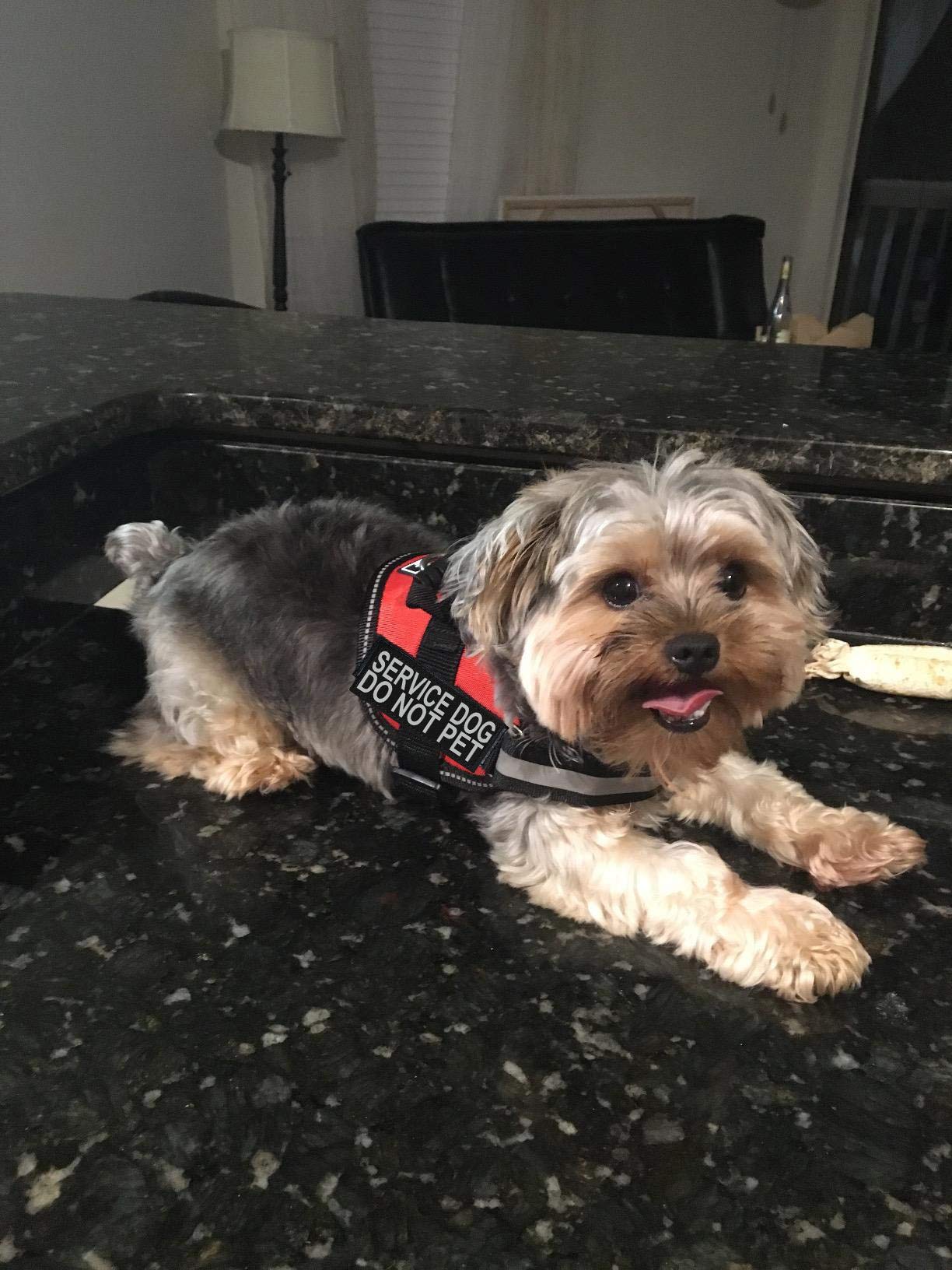 Doggie Stylz service dog vest red measurement guide for correct fit
