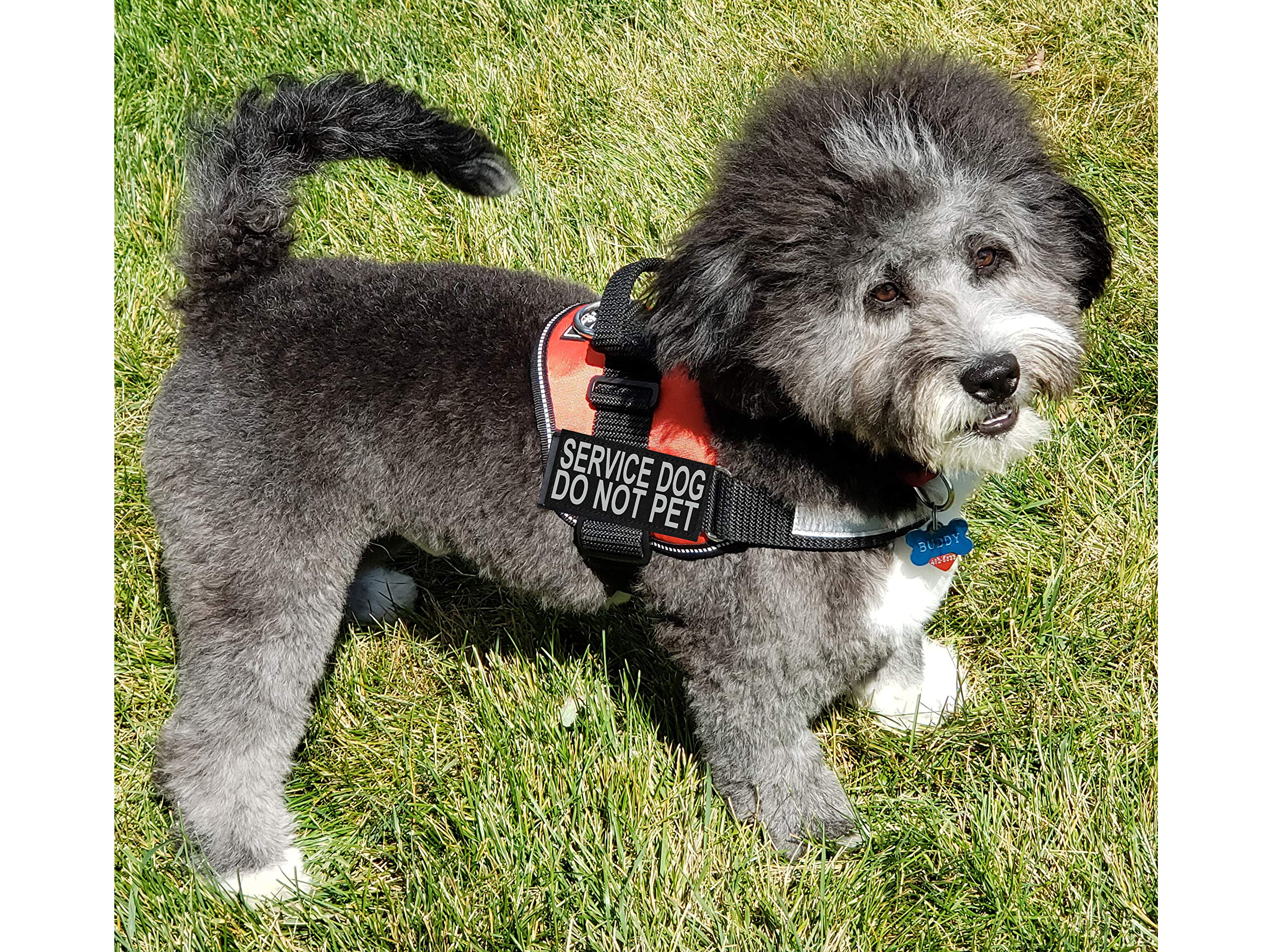 Doggie Stylz service dog harness red side quick release buckle for easy on off