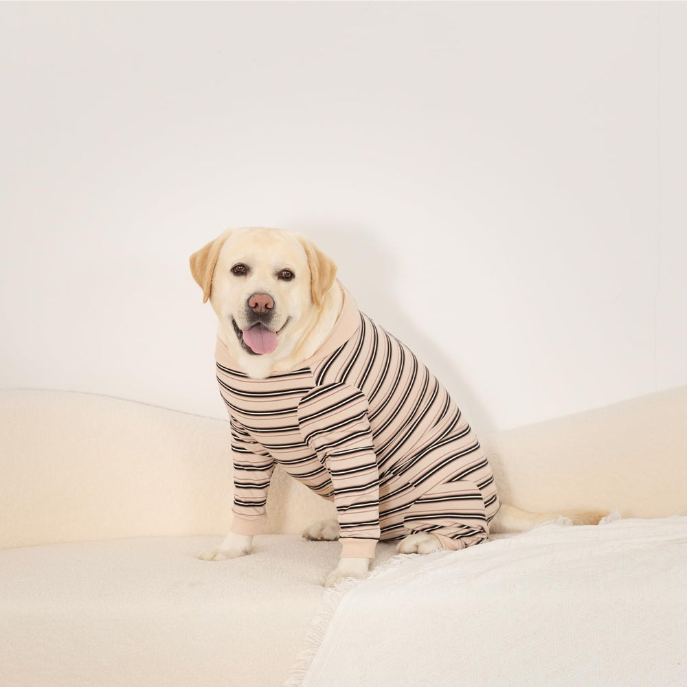 DoggieKit recovery-suit easy wash and quick dry for busy pet owners.