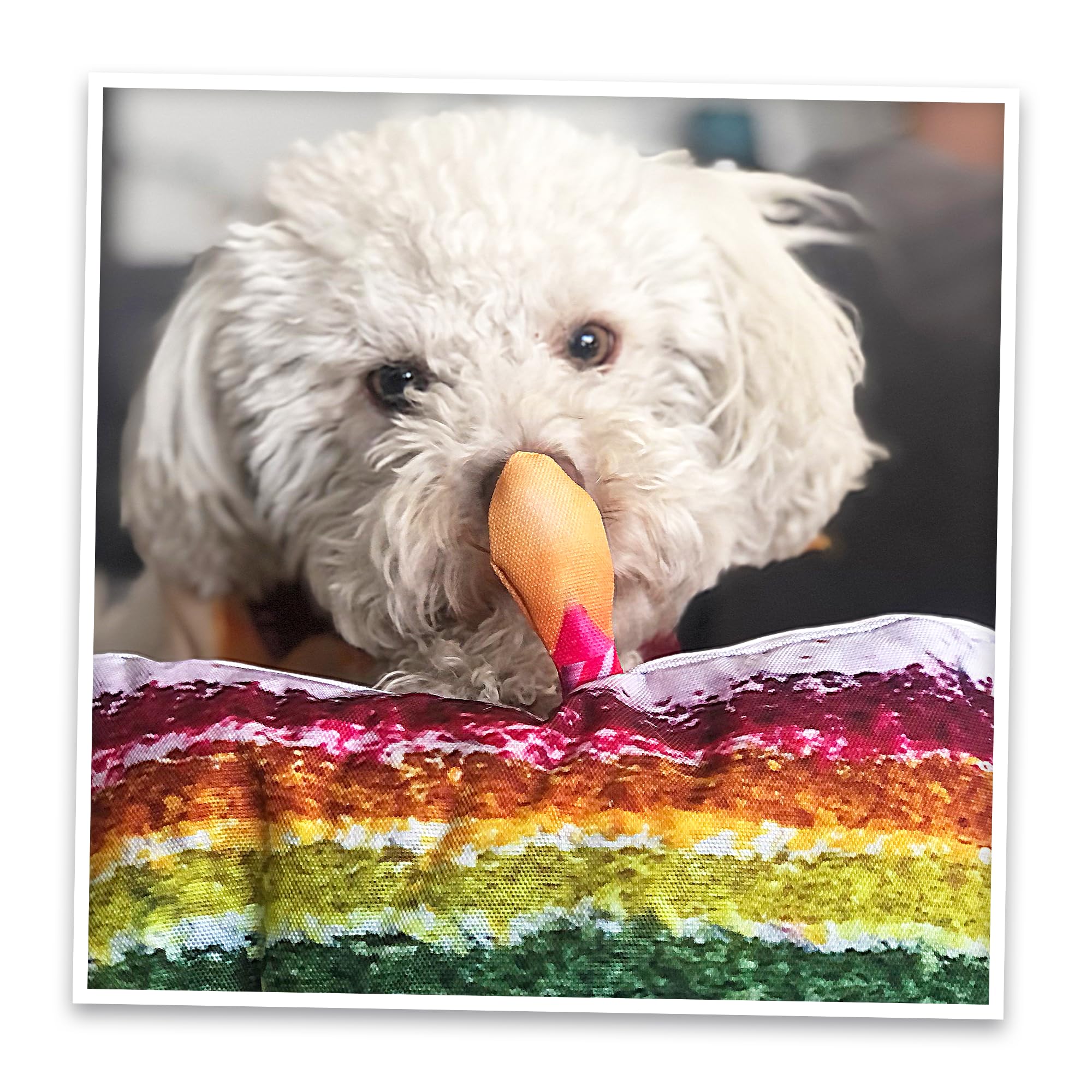 Doggijuana calming aid for dogs suggests relaxation-oriented enrichment options