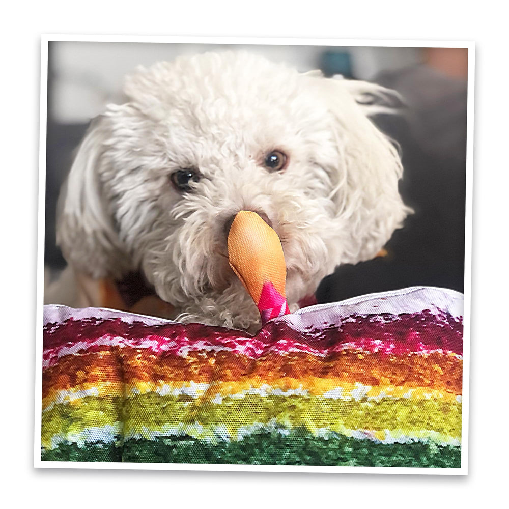 Doggijuana calming aid for dogs suggests relaxation-oriented enrichment options