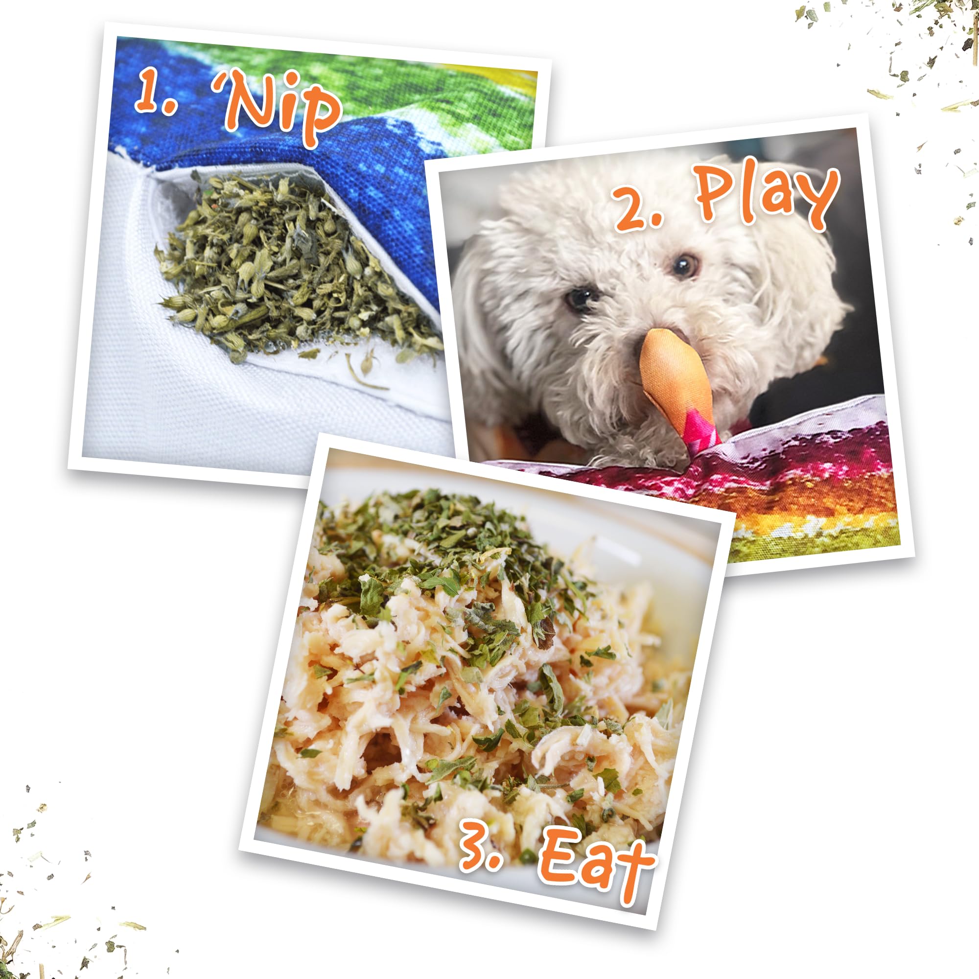 Doggijuana dog chew playtime close-up reveals plush appeal and tactile fun