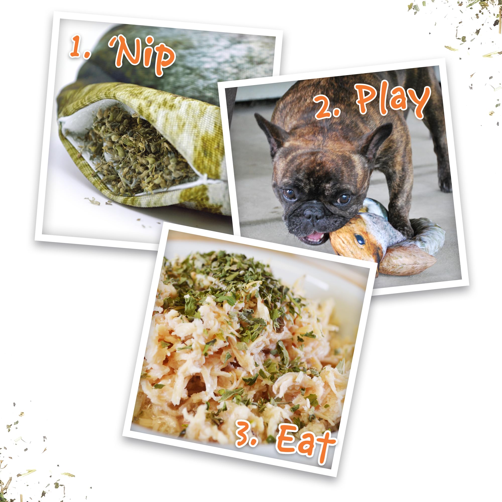 Doggijuana plush-toy in-use demonstrates sensory enrichment during dogs' playtime.