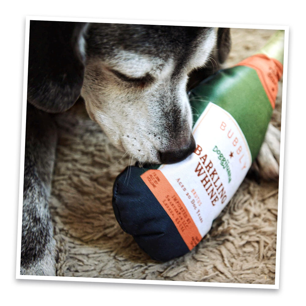 Doggijuana refillable toy showcases reusable design for continued enrichment