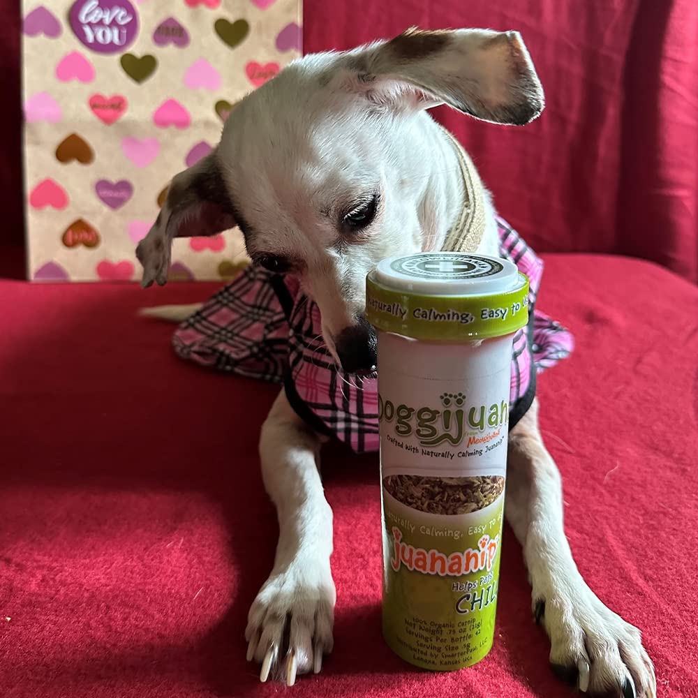 Juananip sprinkled on dog food for a tasty calming moment.