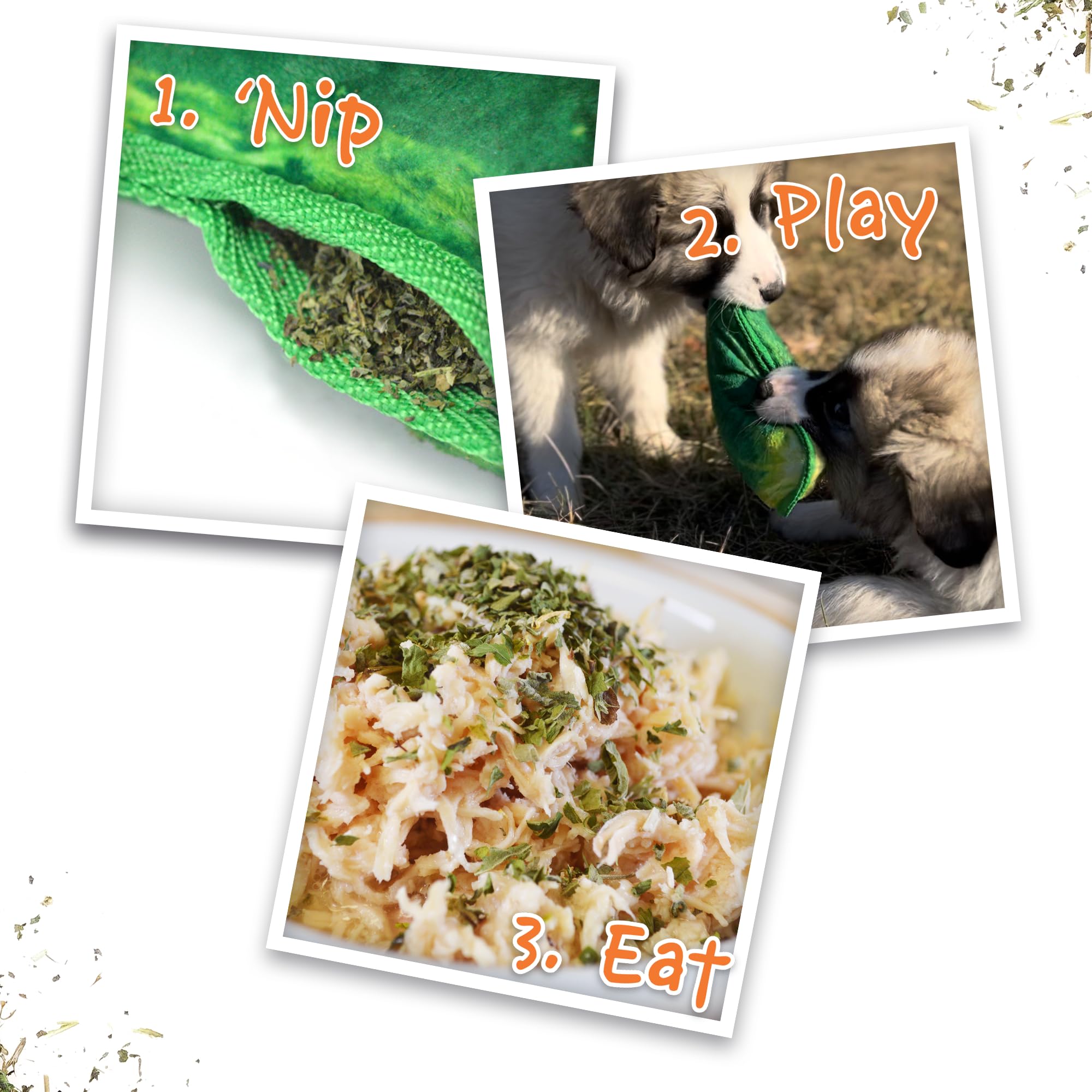 Doggijuana calming play session demonstrated with Juananip to engage anxious dogs.