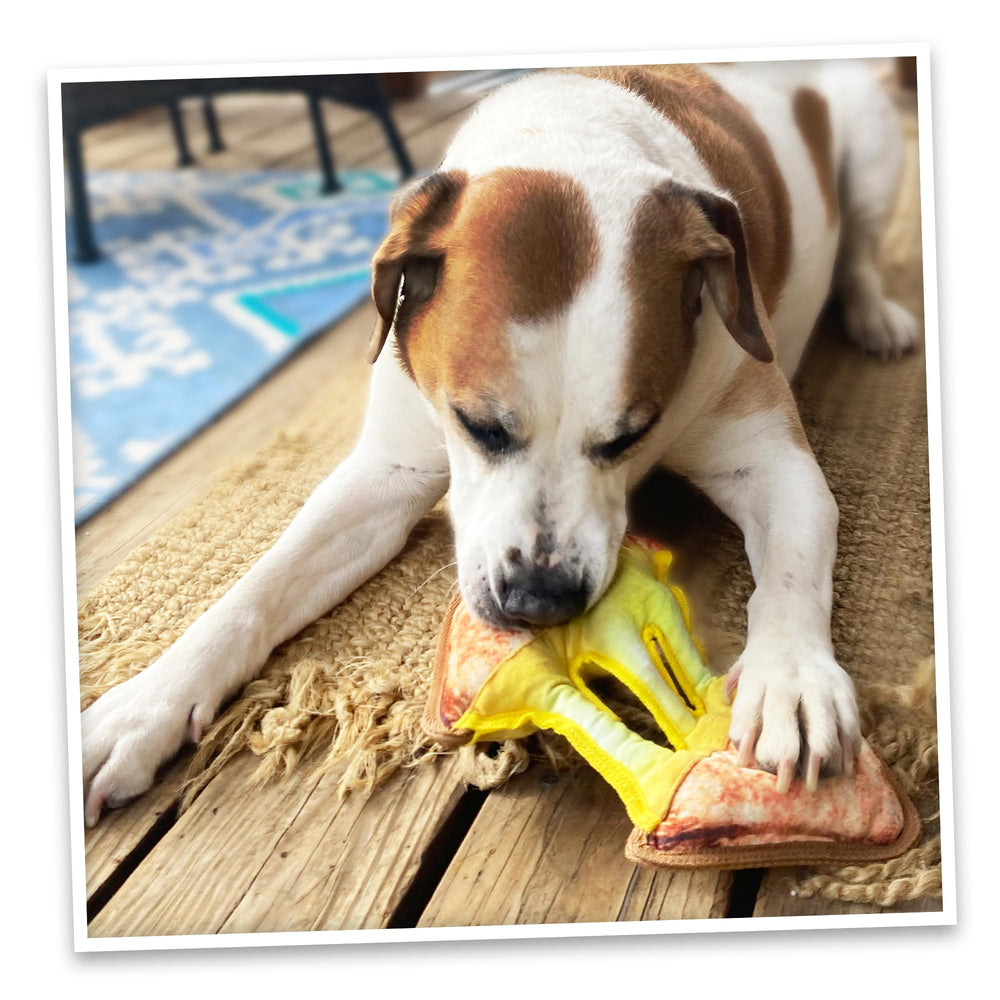 Doggijuana Tuffer Chewer Encourages extended supervised play and enrichment.
