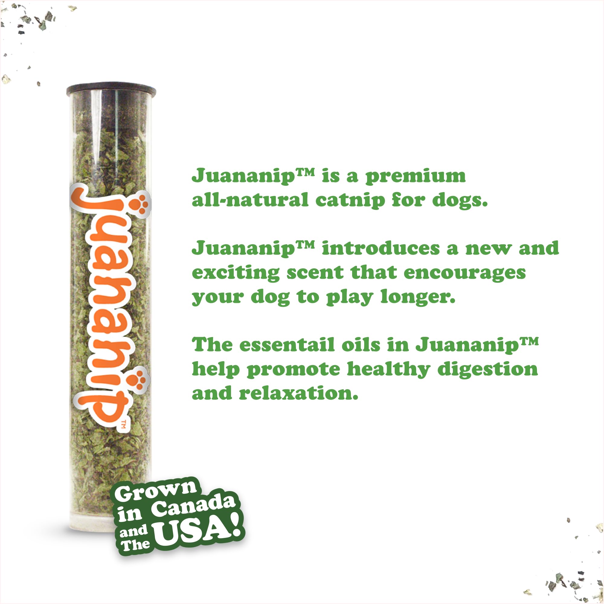 Doggijuana Tuffer Chewer Mini Plush Toy rope-core chew durability during tug games