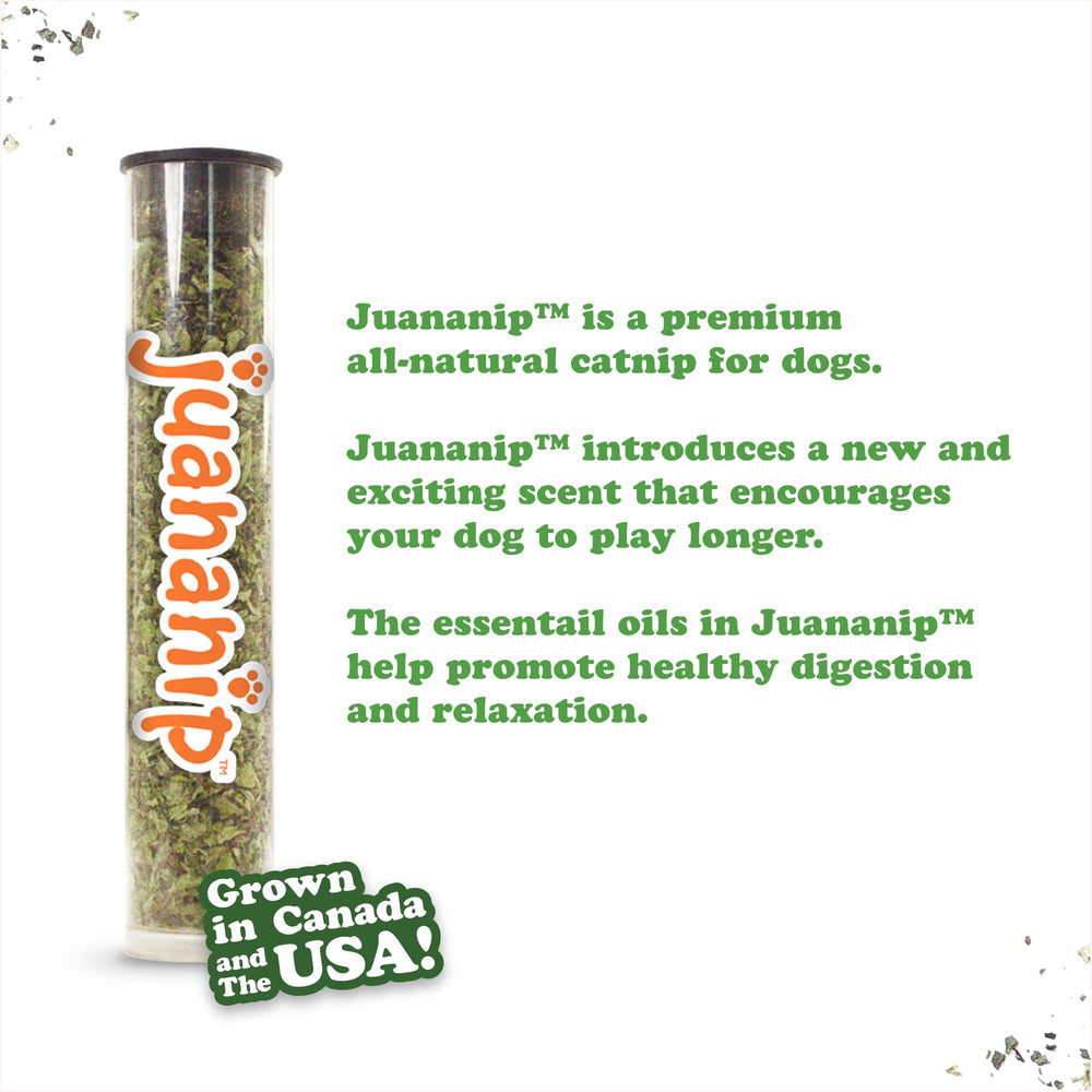 Doggijuana Tuffer Chewer Mini Plush Toy rope-core chew durability during tug games