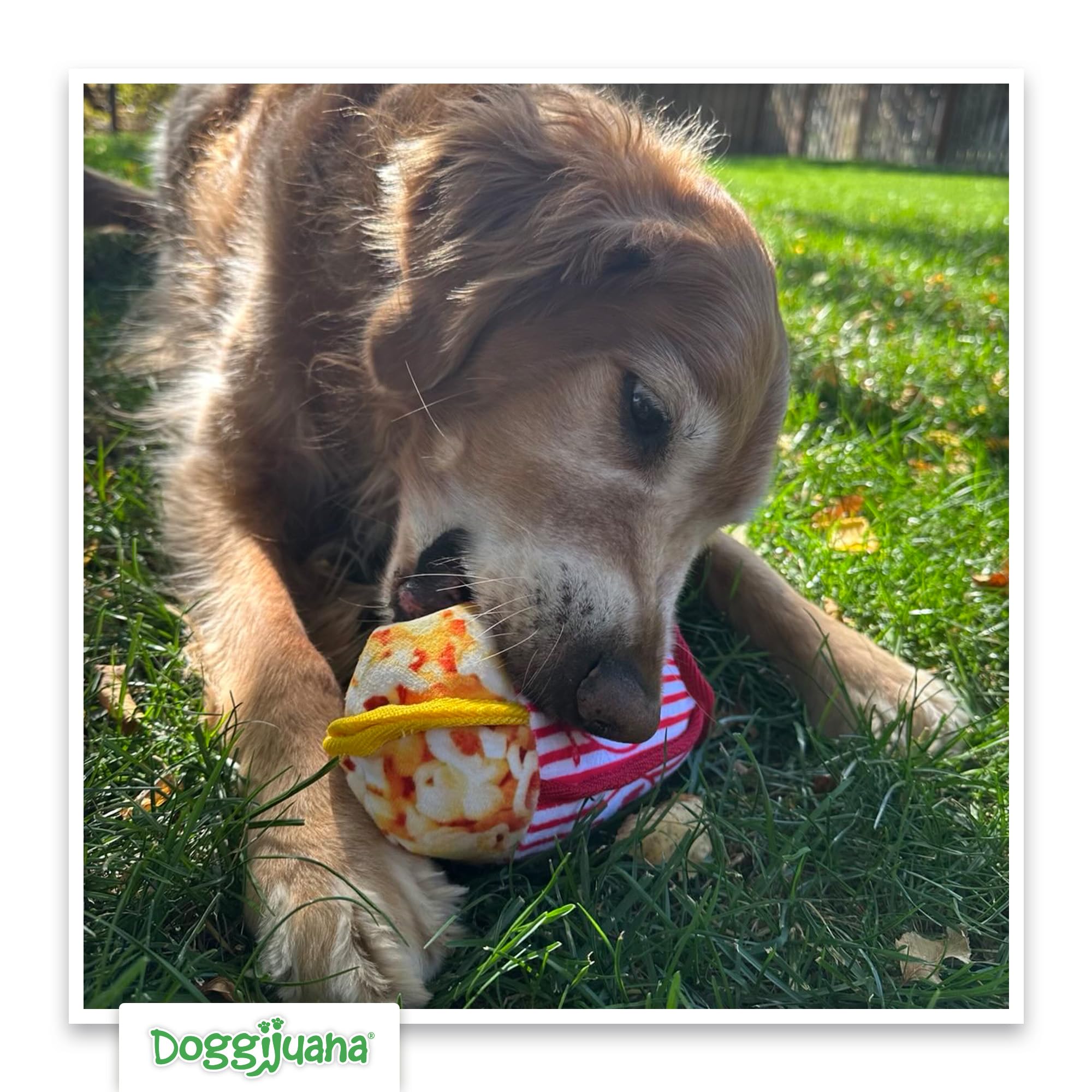 Doggijuana Tuffer Chewer Mini built-in refill pocket enables quick scent refresh