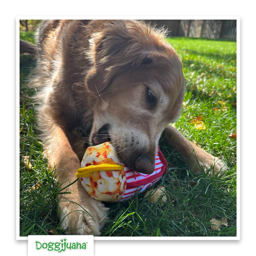 Doggijuana Tuffer Chewer Mini built-in refill pocket enables quick scent refresh