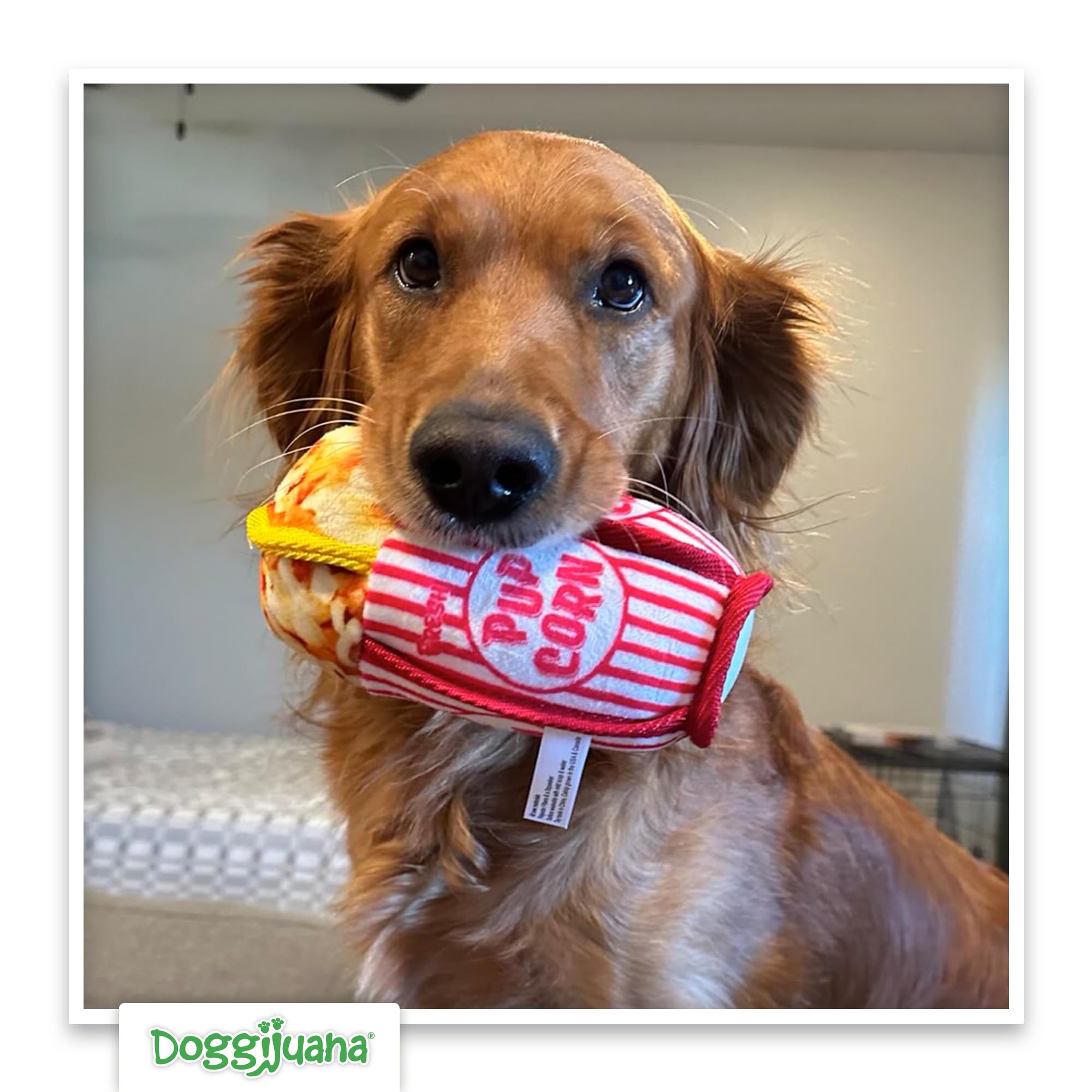 Doggijuana Tuffer Chewer Mini rope-core reinforced for tough tug and chew sessions