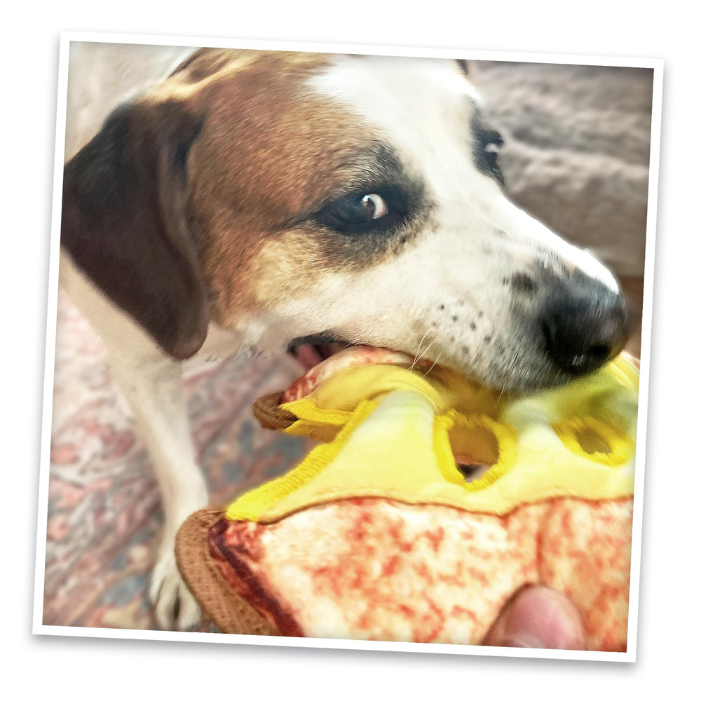 Doggijuana Tuffer Chewer Scent-based Stimulation for sniffing and exploration.