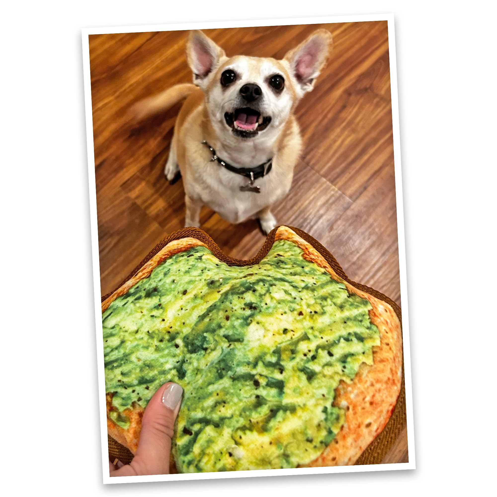 Doggijuana Tuffer Chewer Toy avocado-toast-theme illustrates fun sensory experience