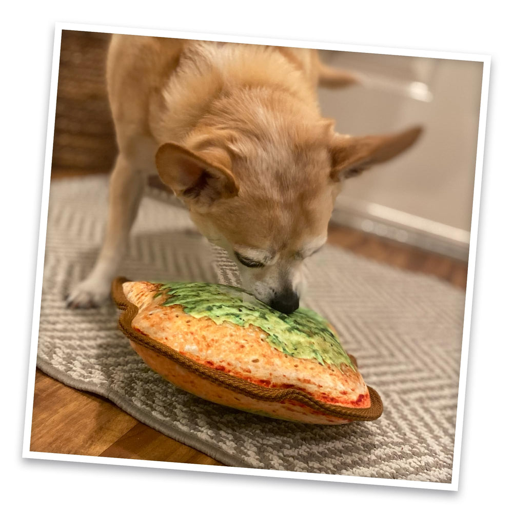 Doggijuana Tuffer Chewer Toy catnip bottle shot shows safe organic enrichment