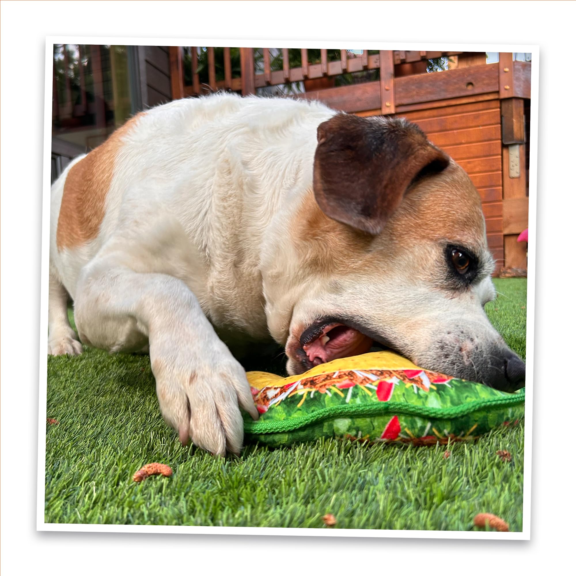 Doggijuana Tuffer Taco-themed plush attracts dogs during playtime