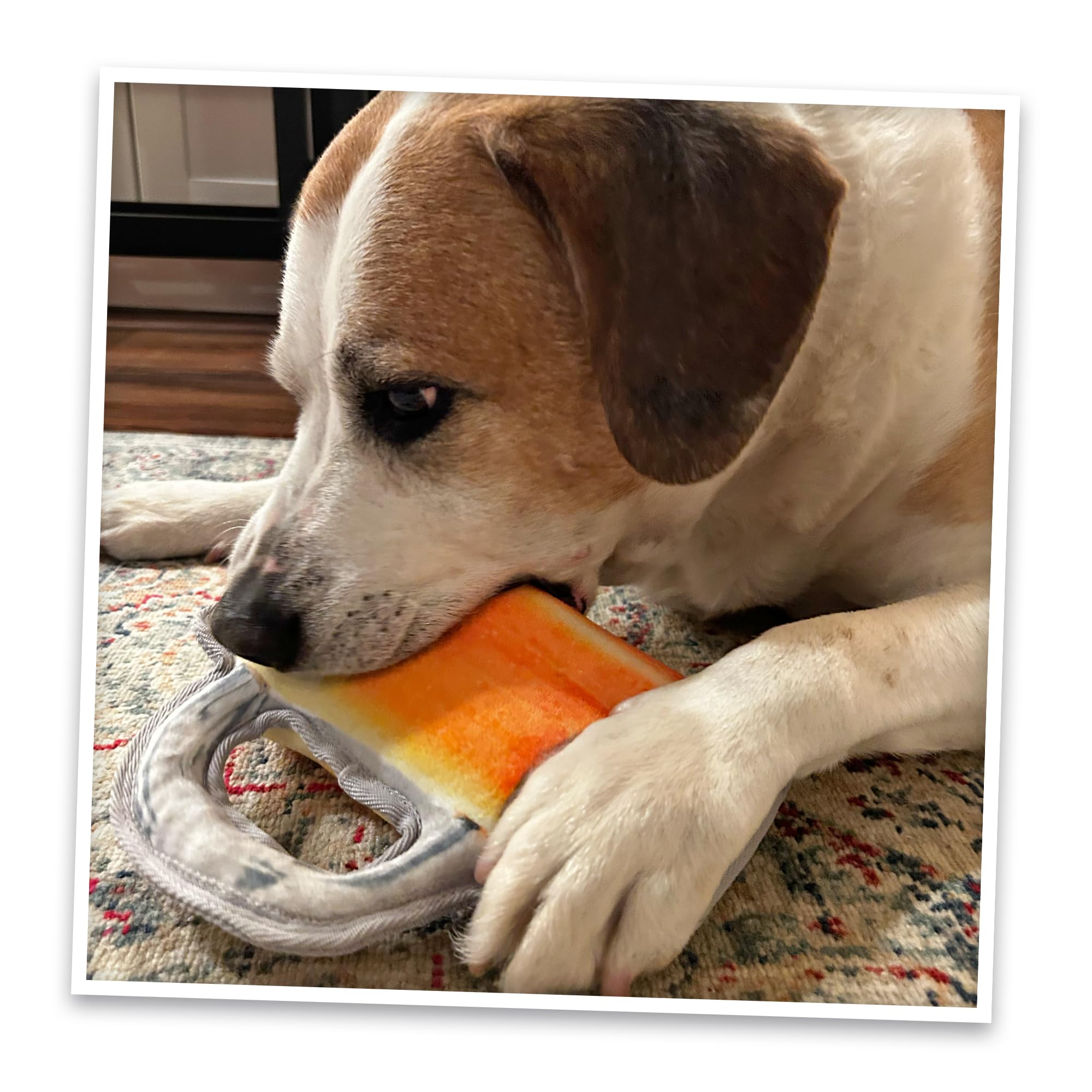 Doggijuana Tuffer rope-core reinforced for strong tug play