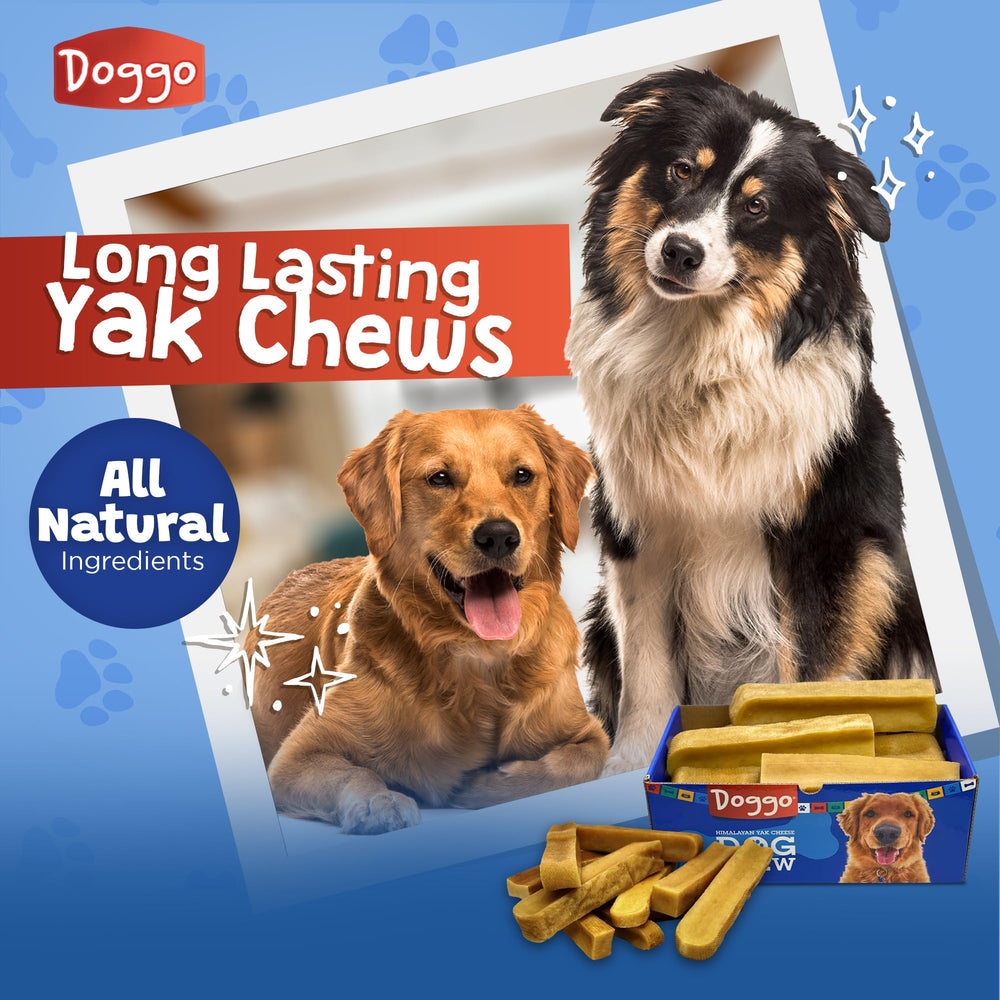 Doggo Dog Chew aggressive-chewer action showcases durability and engagement.