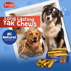 Doggo Dog Chew aggressive-chewer action showcases durability and engagement.
