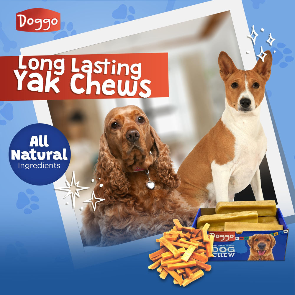 Doggo Dog Chew all-breeds label with small-to-large dogs happily chewing.