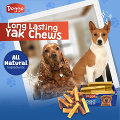 Doggo Dog Chew dental-hygiene-action shows tartar-reducing gnawing benefits.