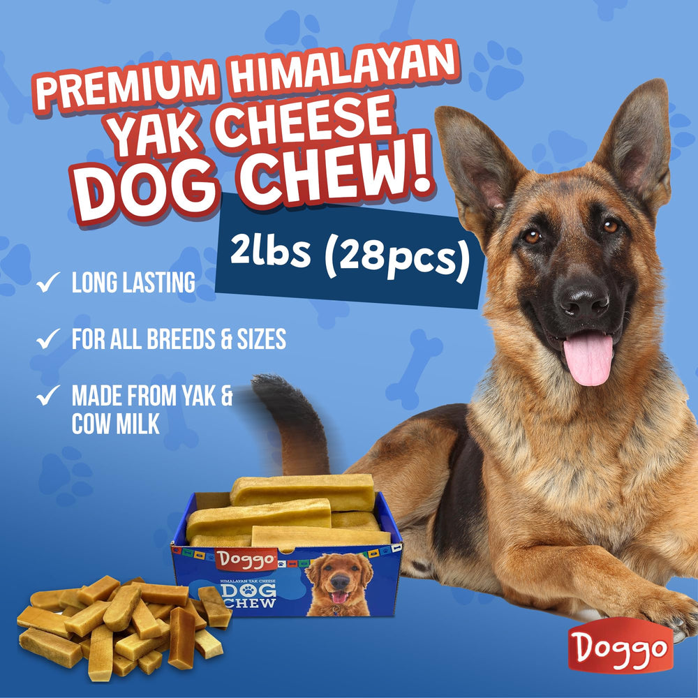 Doggo Dog Chew dental hygiene benefits during chewing sessions