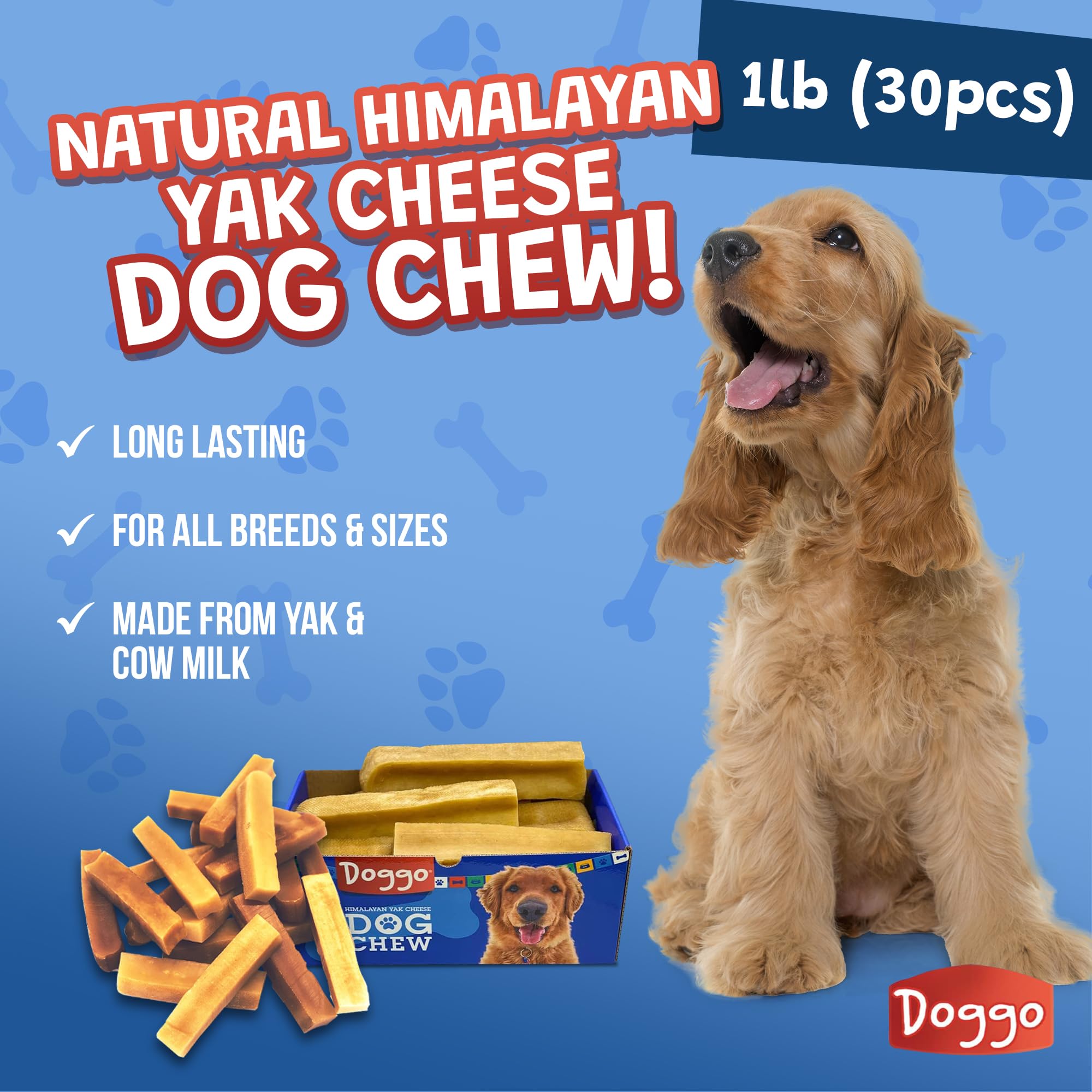 Doggo Dog Chew indoor-safe-use demonstrates odor-free, mess-free chewing indoors.