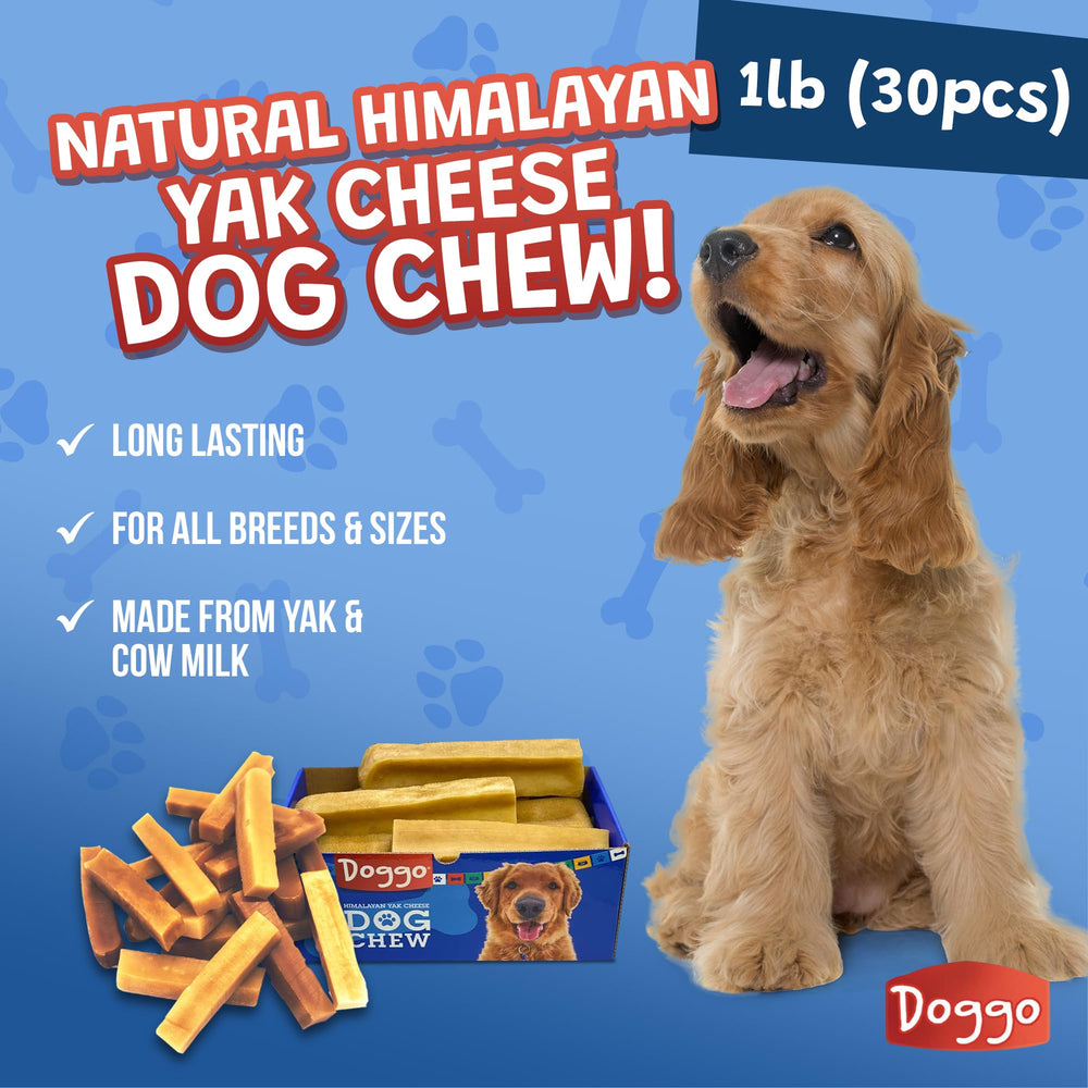 Doggo Dog Chew indoor-safe-use demonstrates odor-free, mess-free chewing indoors.