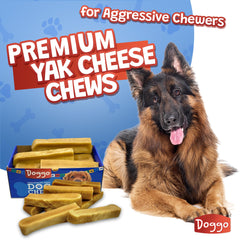 Doggo Dog Chew large dog chewing a yak cheese chew
