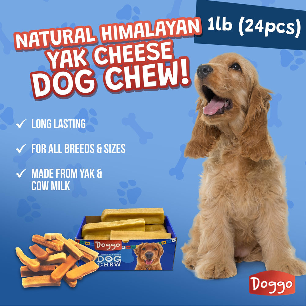 Doggo Dog Chew large-portion 5-lb bag for big dogs and long-lasting enrichment