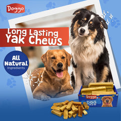 Doggo Dog Chew long-lasting chew for aggressive chewers in action