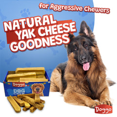 Doggo Dog Chew medium yak chews on display for multi-dog households.