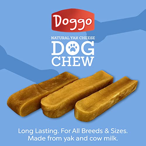 Doggo Dog Chew natural ingredients texture close-up emphasizes durable, long-lasting chew.