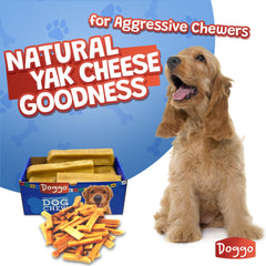 Doggo Dog Chew no-odor texture close-up shows indoor-friendly, mess-free chewing.