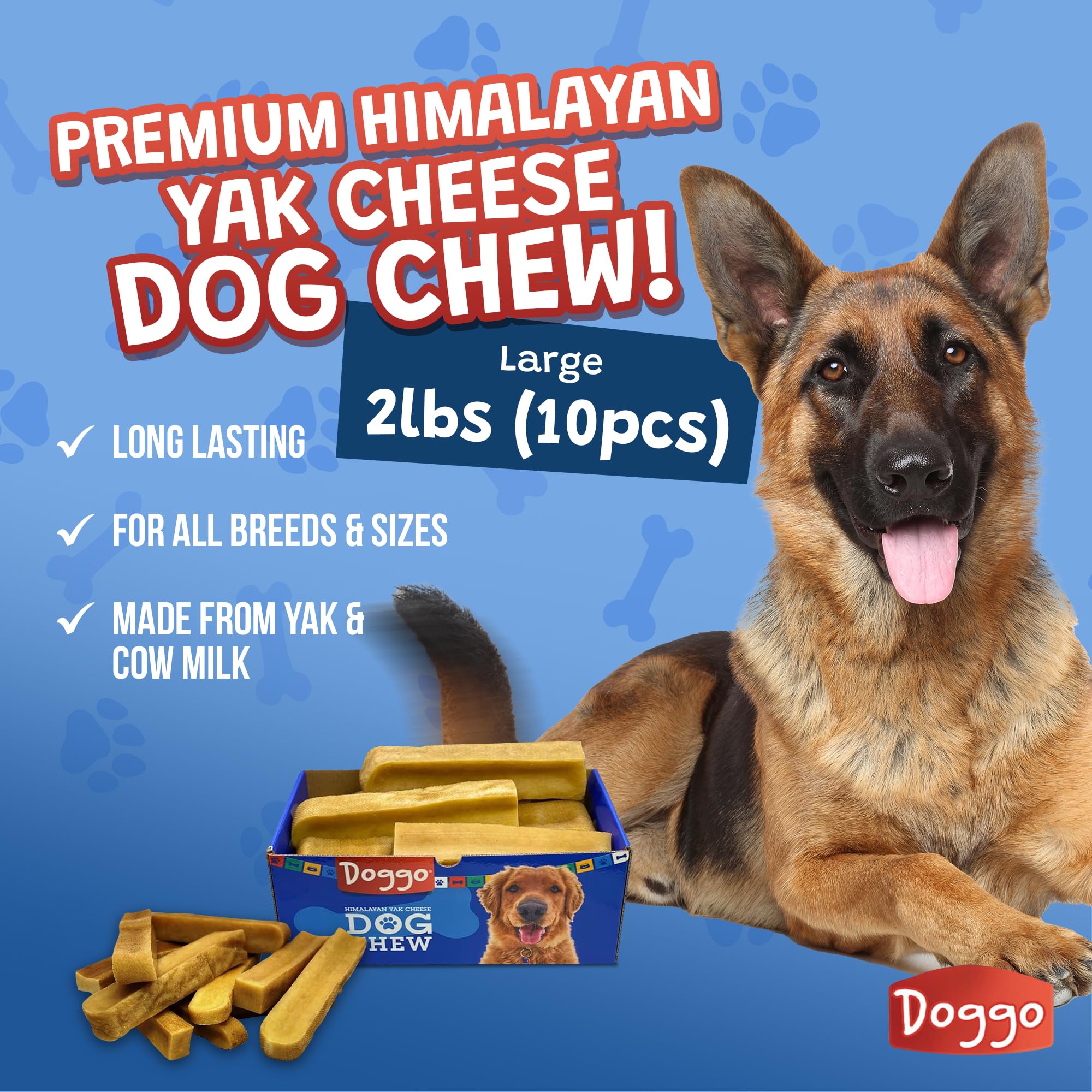 Doggo Dog Chew no-rawhide pack ready for safe chewing indoors.