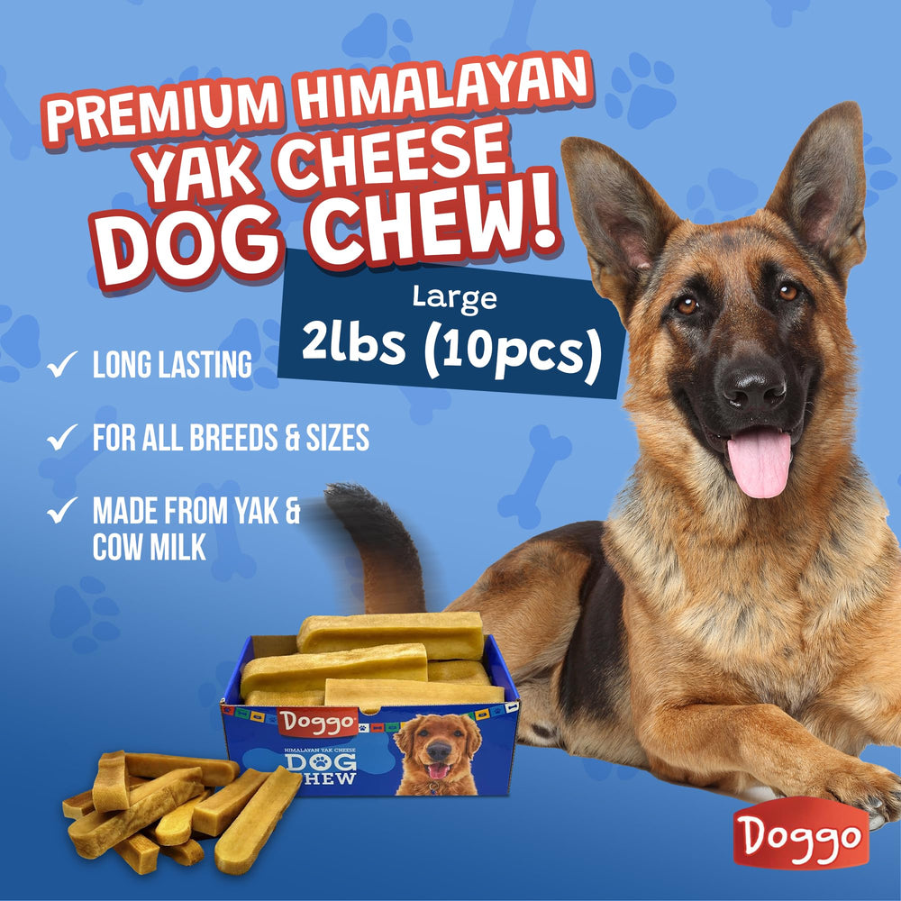 Doggo Dog Chew no-rawhide pack ready for safe chewing indoors.