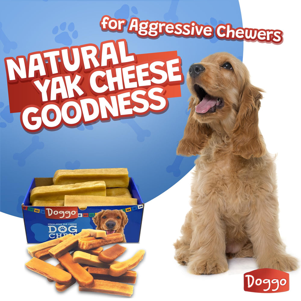 Doggo Dog Chew no-rawhide yak chew offers a safe, durable alternative