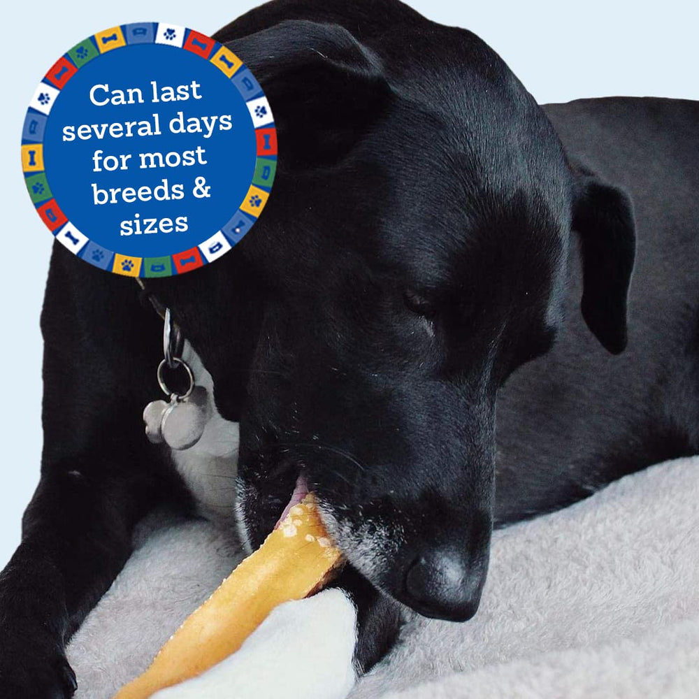 Doggo Dog Chew for small dogs used indoors, odor-free and mess-free.
