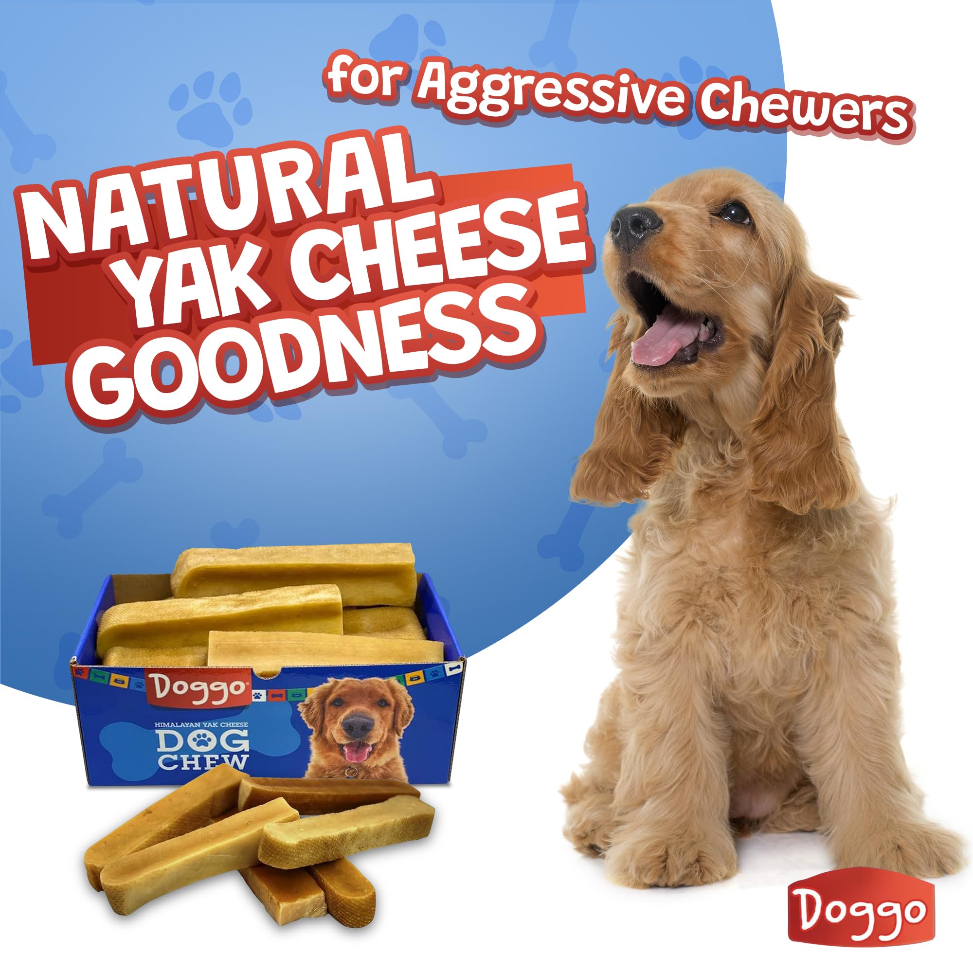 Doggo Dog Chew Yak Cheese dog-chewing-action captures engagement and durable texture.