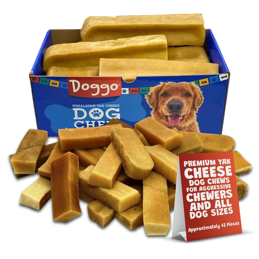 Doggo Dog Chew large yak cheese Himalayan bone for big dogs