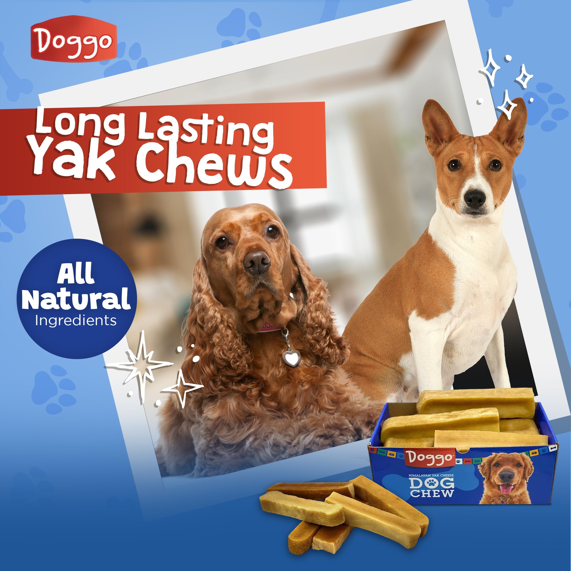 Doggo Dog Chew Yak Cheese packaging displays convenient one-pound six-piece box.