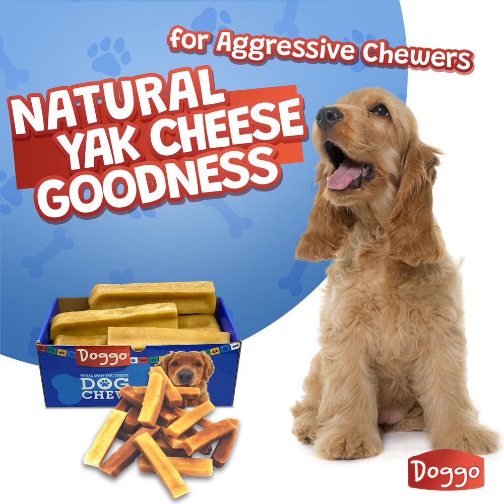 Doggo Dog Chew small-dog yak-chew suited for small breeds.