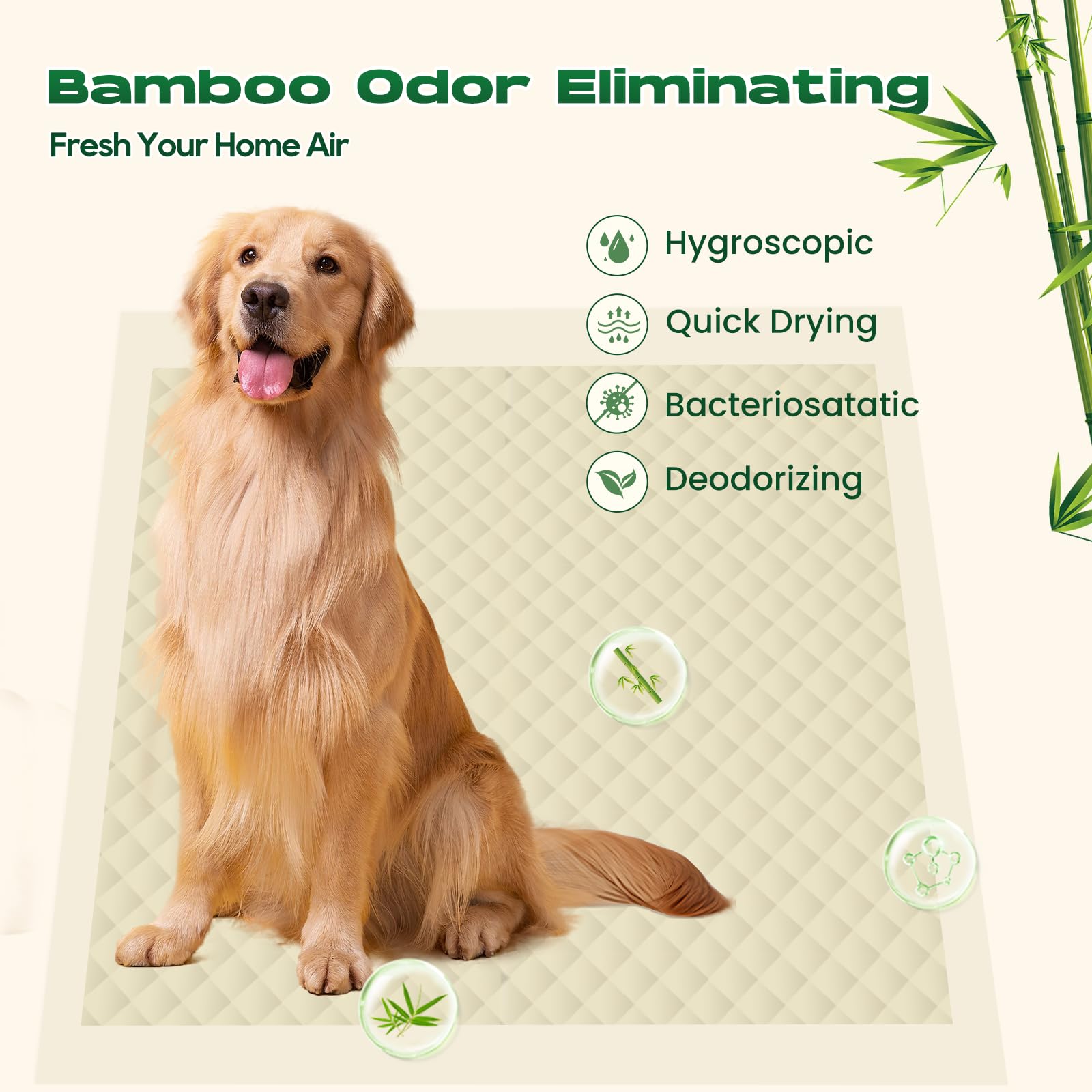 Doggo Doug thickened pad design; leak-proof protection for carpets during house training.