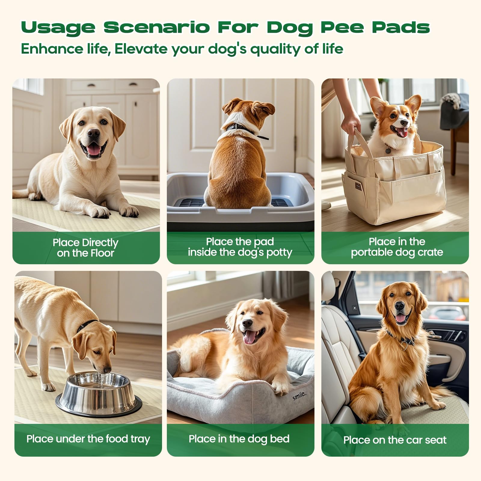 Doggo Doug 30x36 size shown in crate setup; multipurpose use for cats and small mammals.