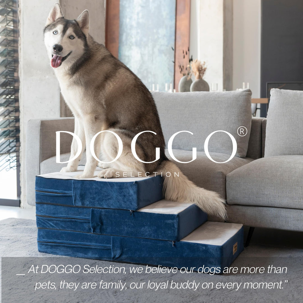 DOGGO Selection soft-cover blue stairs close-up detail for paw comfort