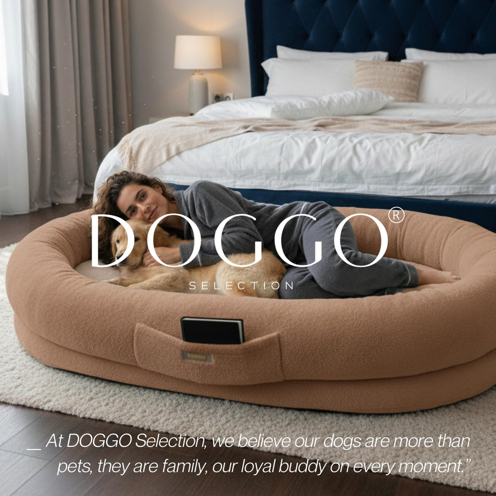 DOGGO Selection beige-brown decor-friendly tone suits daily lounging with pets.