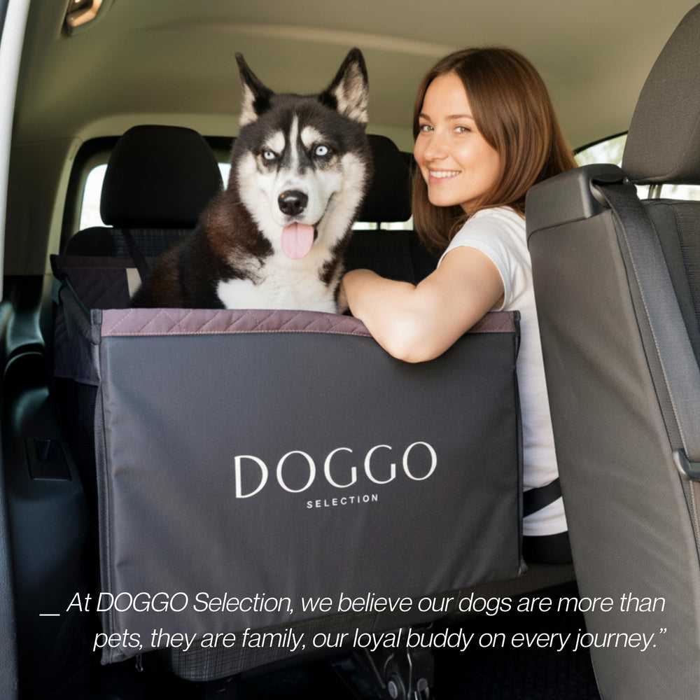 DOGGO Selection foldable design makes storage simple when not in use.