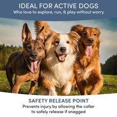 Doggy's Dinner Verdepets collar adjustable strap demonstrates secure fit.