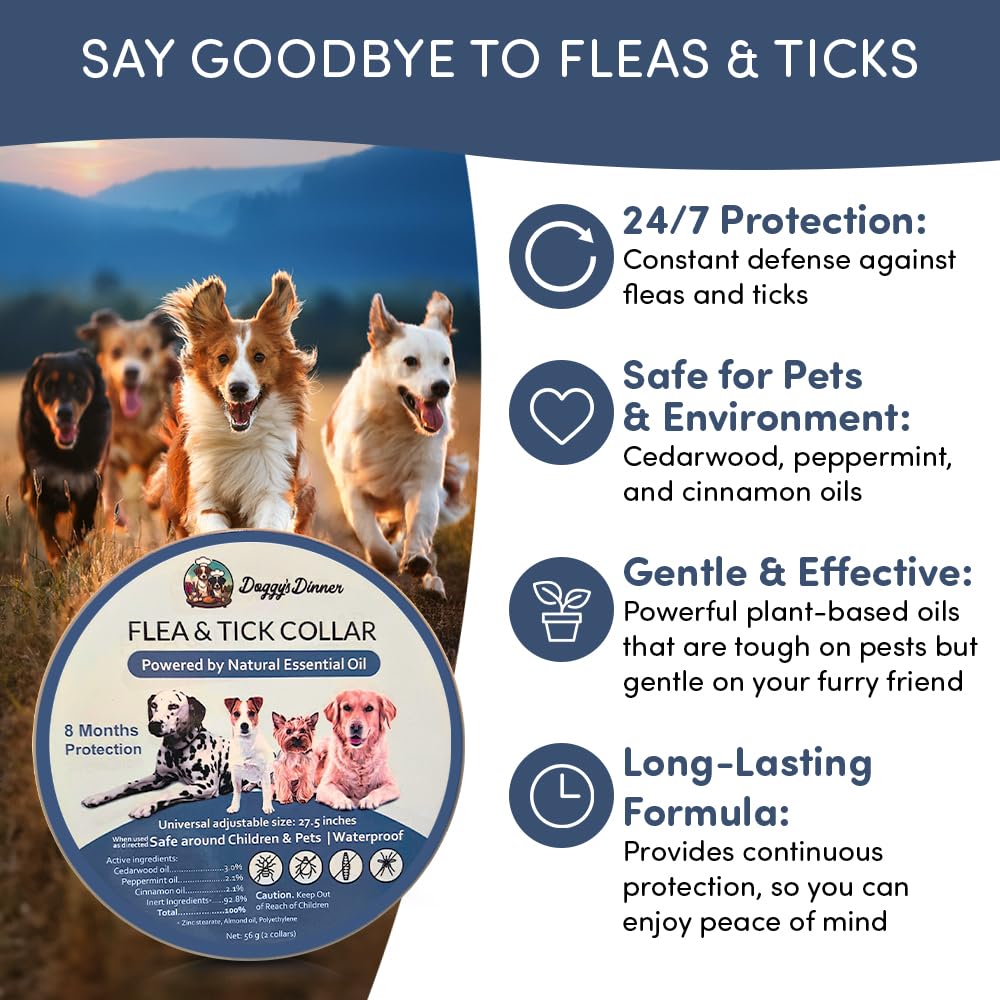 Doggy's Dinner Verdepets collar during outdoor camping shows outdoor protection.