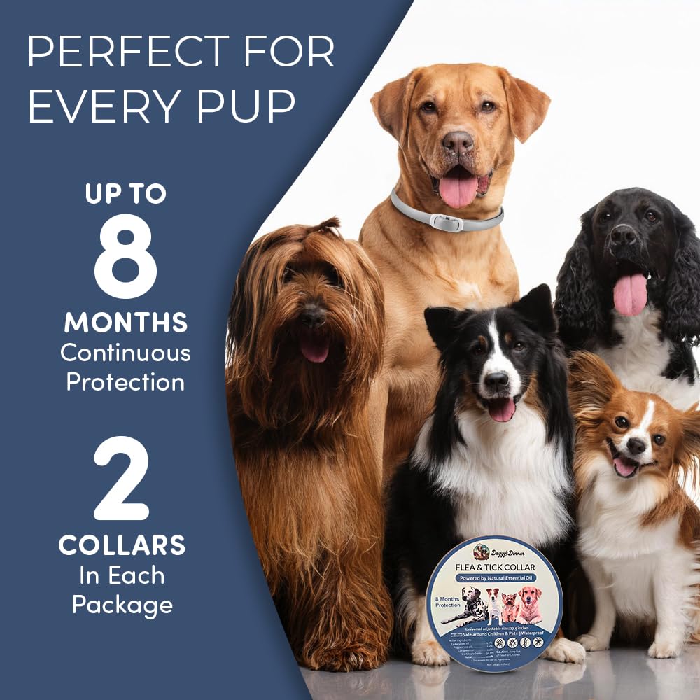 Doggy's Dinner Verdepets collar waterproof design stands up to rain and baths.